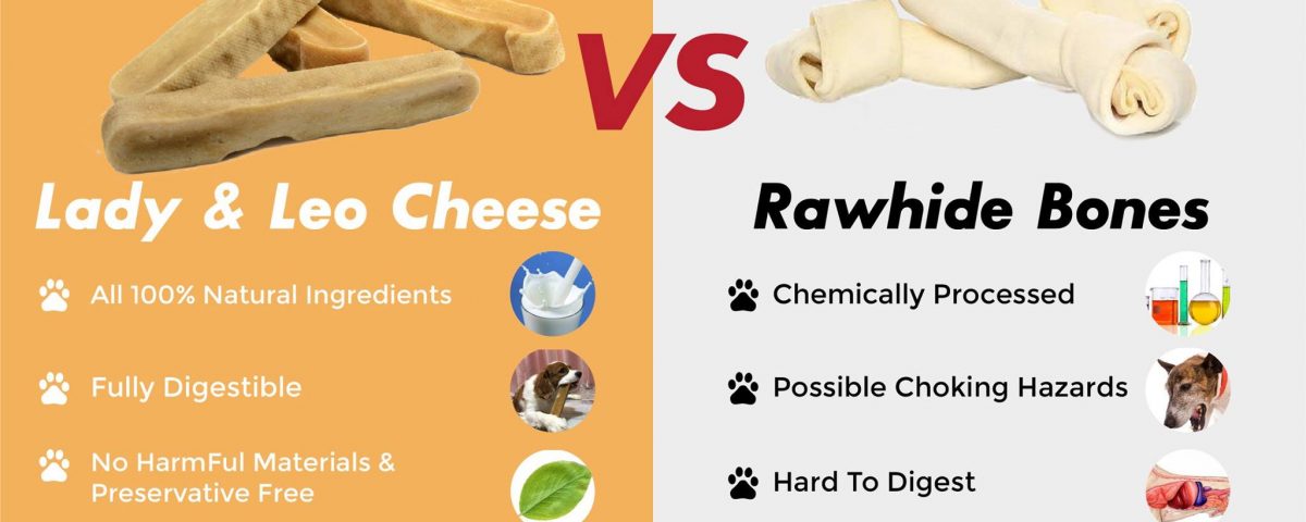 Cheese Dog Chew V.S. Rawhide Bones